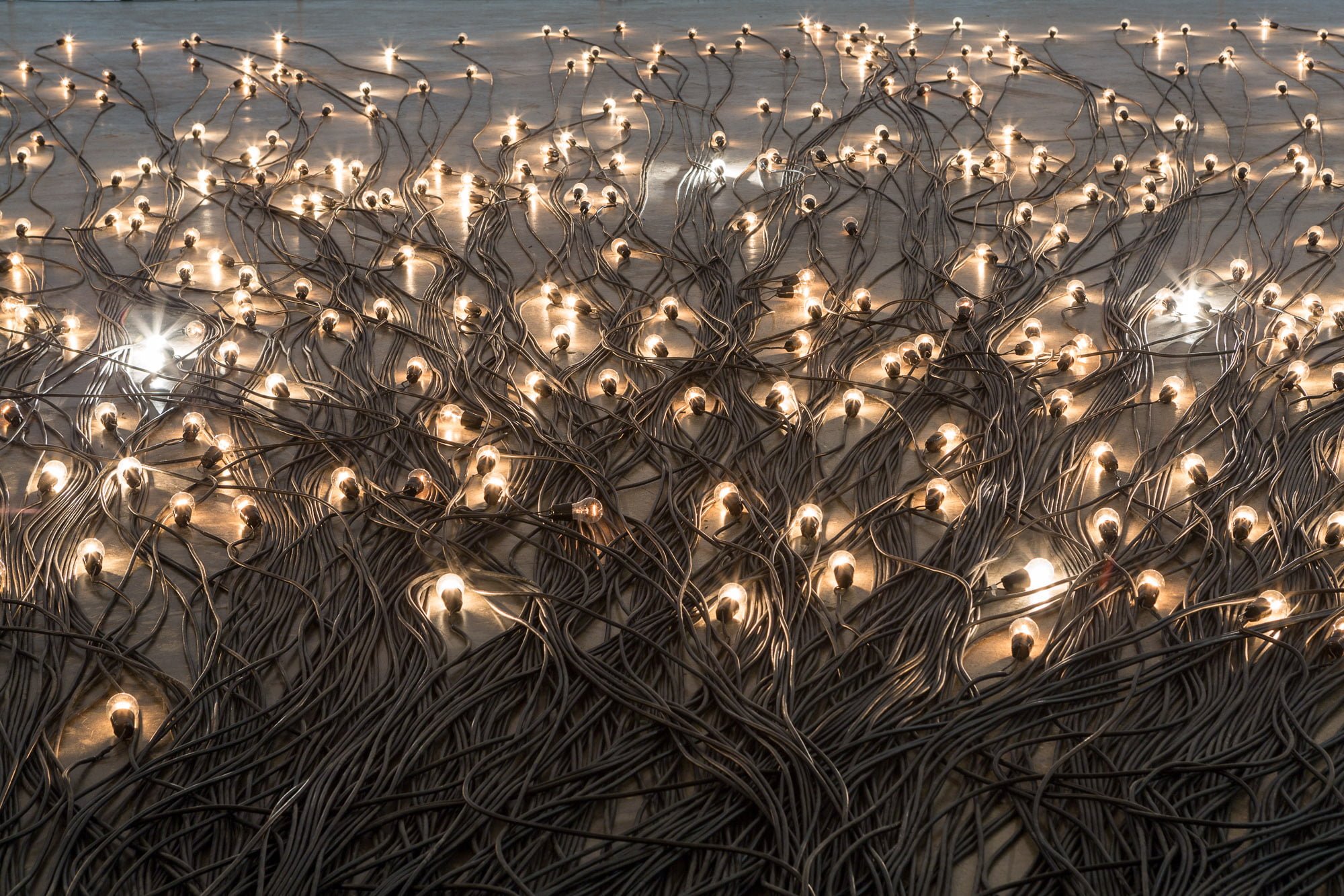 Expo Crepúsculo boltansk 2015 – 1